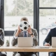 Lo que las empresas pueden aprender de la industria del deporte: talento, estructura y estrategia